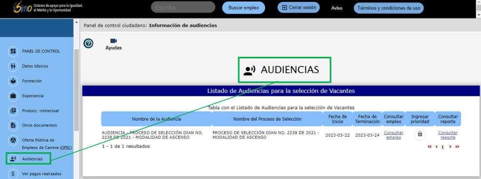 audienciapublicaSIMO