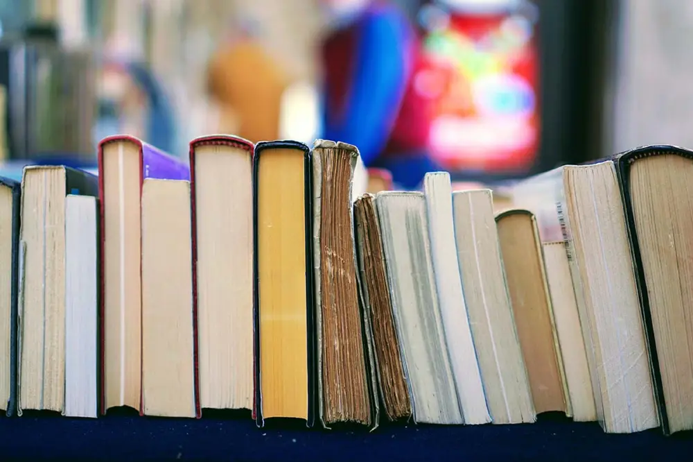 La enseñanza de la literatura en la educación secundaria