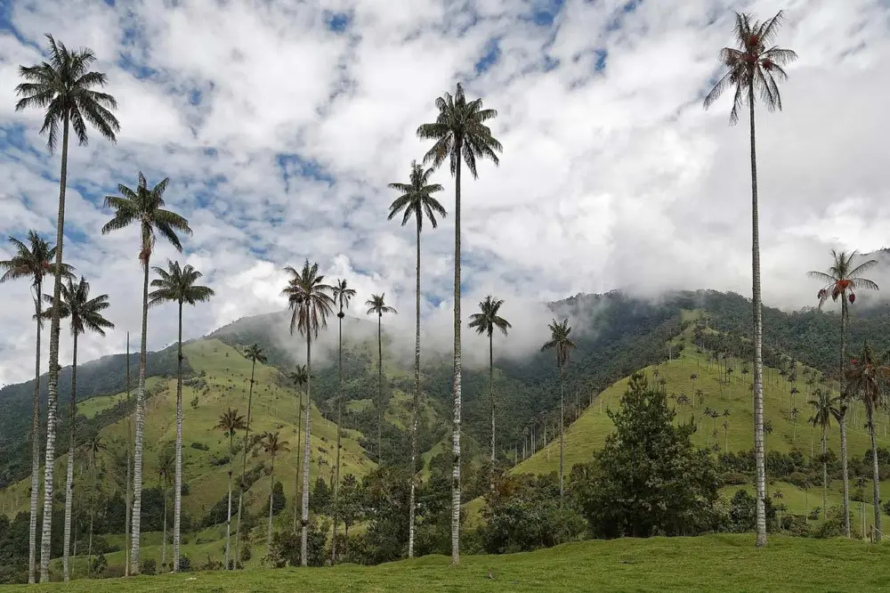 Concurso de Empleo Público Territorial 8: conoce las vacantes en el Departamento del Quindío