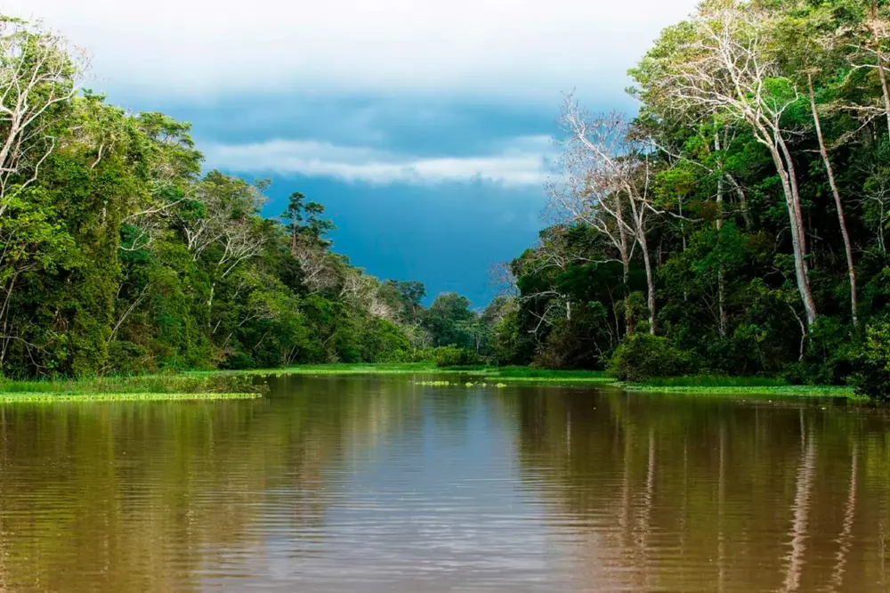 Empleo en el Departamento de Amazonas: conoce las vacantes del Concurso Público Territorial 8